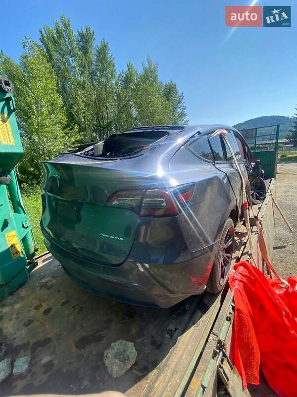 Позашляховик / Кросовер Tesla Model Y 2023 в Бердичеві