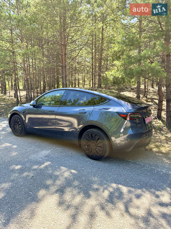 Внедорожник / Кроссовер Tesla Model Y 2023 в Киеве