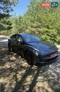 Внедорожник / Кроссовер Tesla Model Y 2023 в 