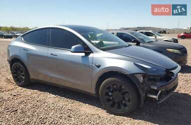 Позашляховик / Кросовер Tesla Model Y 2024 в Львові