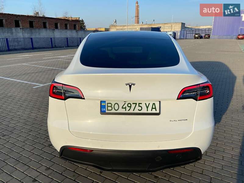 Внедорожник / Кроссовер Tesla Model Y 2021 в Тернополе