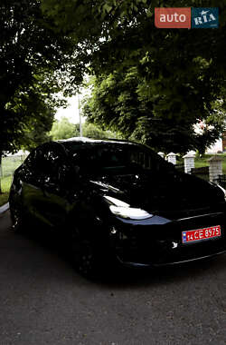 Внедорожник / Кроссовер Tesla Model Y 2024 в Тернополе