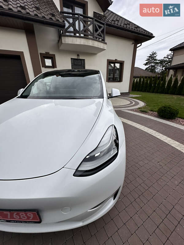 Позашляховик / Кросовер Tesla Model Y 2024 в Львові
