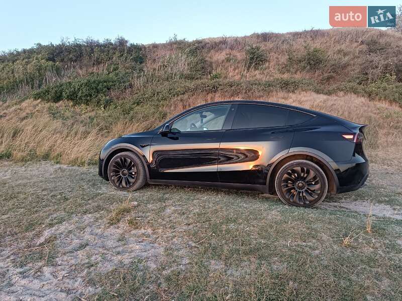 Внедорожник / Кроссовер Tesla Model Y 2020 в Николаеве