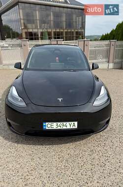 Внедорожник / Кроссовер Tesla Model Y 2024 в Черновцах