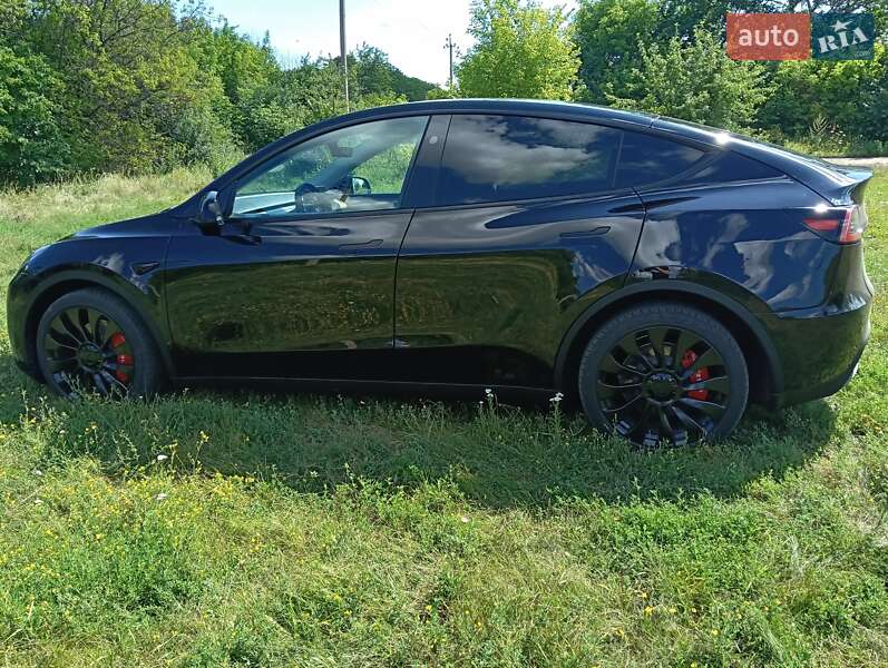 Внедорожник / Кроссовер Tesla Model Y 2023 в Сквире