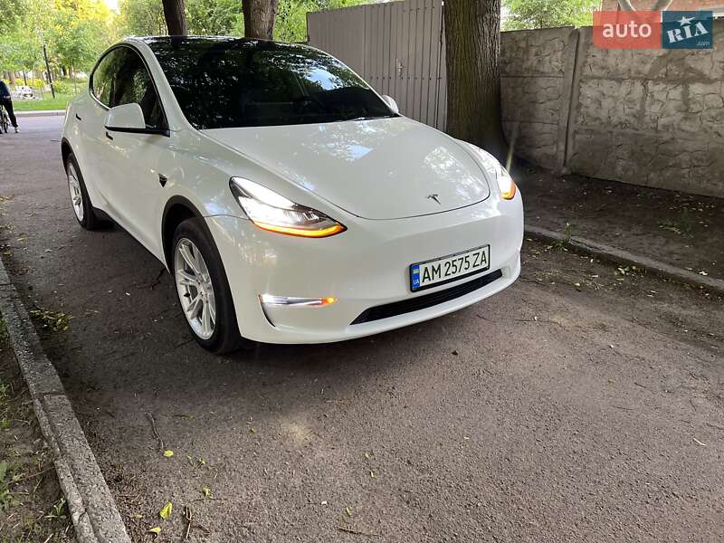 Внедорожник / Кроссовер Tesla Model Y 2023 в Житомире