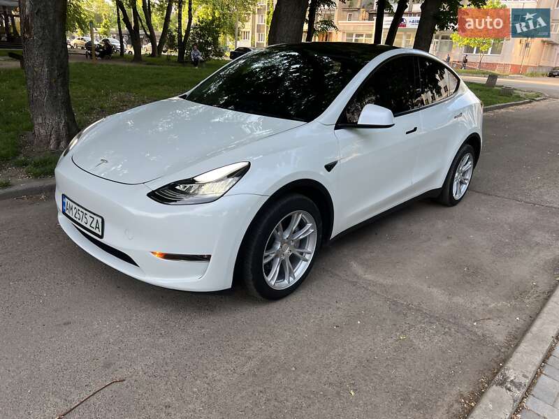 Внедорожник / Кроссовер Tesla Model Y 2023 в Житомире