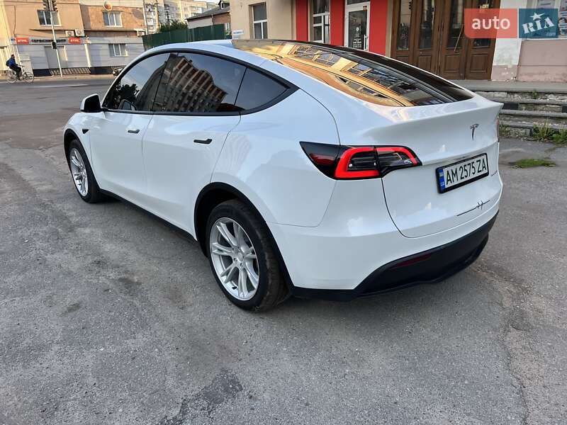 Внедорожник / Кроссовер Tesla Model Y 2023 в Житомире