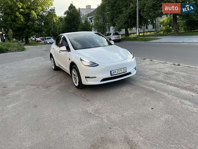 Внедорожник / Кроссовер Tesla Model Y 2023 в Житомире