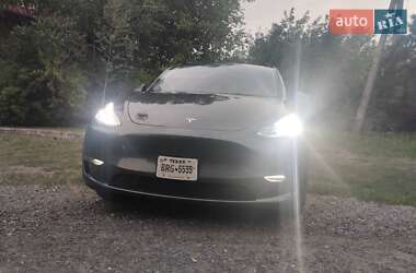 Внедорожник / Кроссовер Tesla Model Y 2023 в Харькове