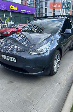 Внедорожник / Кроссовер Tesla Model Y 2023 в 