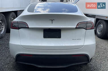 Внедорожник / Кроссовер Tesla Model Y 2023 в Луцке