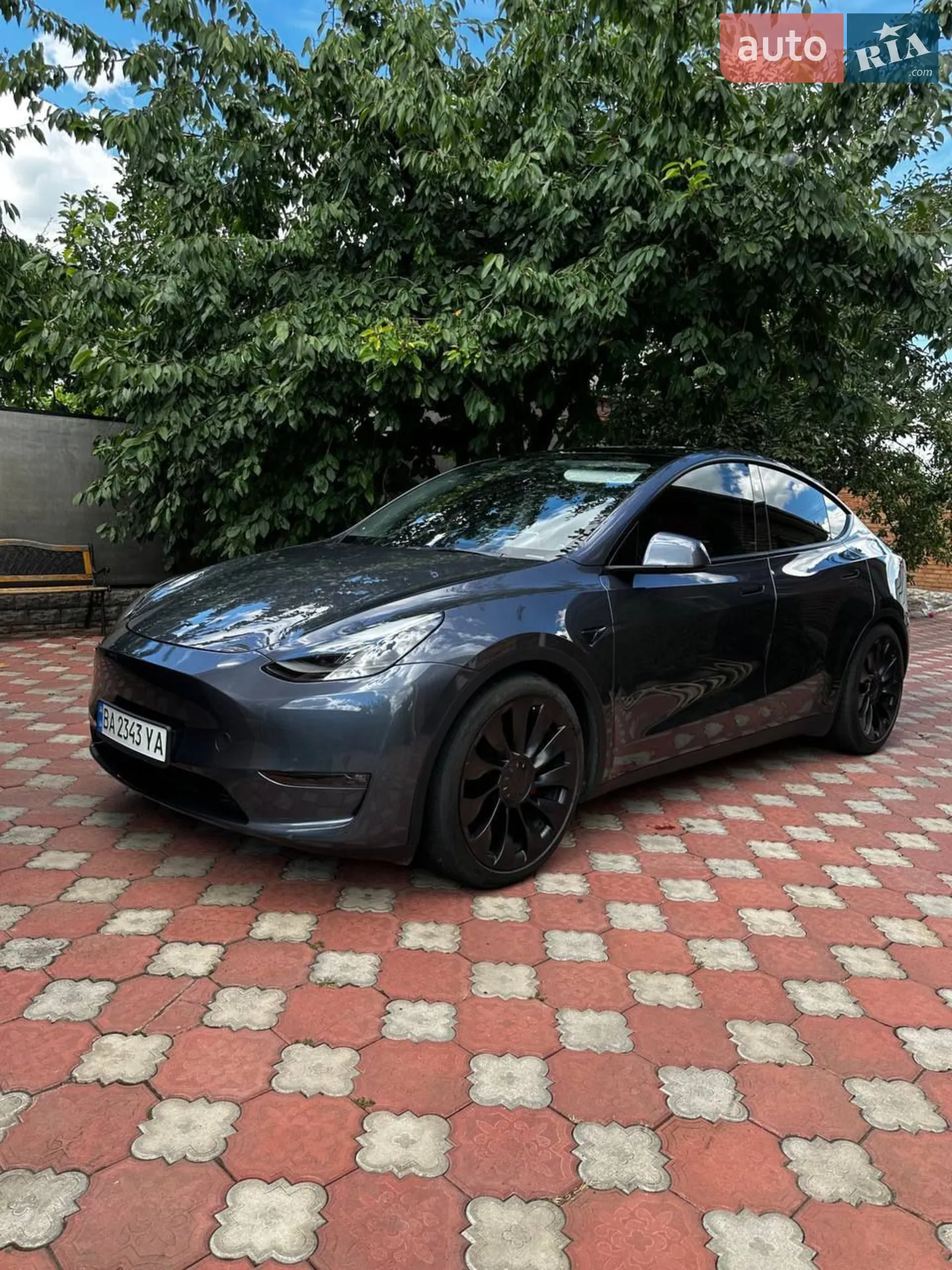 2023 Tesla Model Y - фото 1