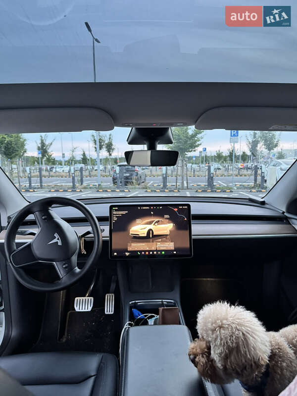 Внедорожник / Кроссовер Tesla Model Y 2022 в Киеве