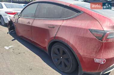 Внедорожник / Кроссовер Tesla Model Y 2024 в 