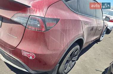 Внедорожник / Кроссовер Tesla Model Y 2024 в 