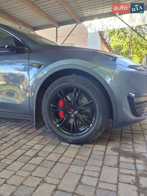 Внедорожник / Кроссовер Tesla Model Y 2023 в Кропивницком фото 56 Внедорожник / Кроссовер Tesla Model Y 2023 в Кропивницком