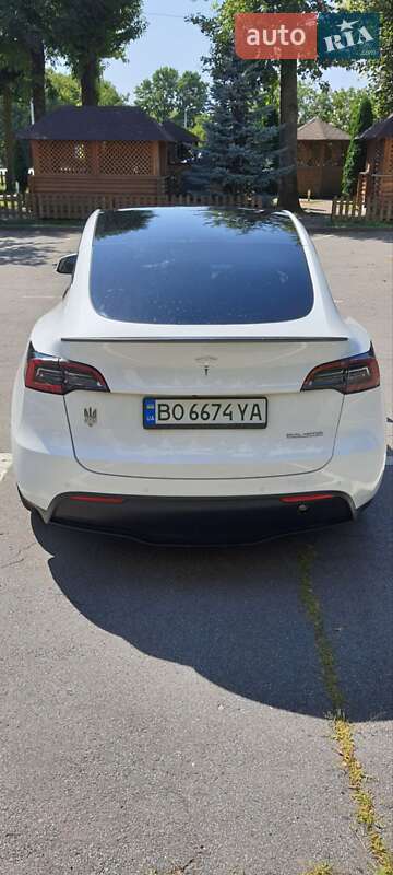 Позашляховик / Кросовер Tesla Model Y 2022 в Львові