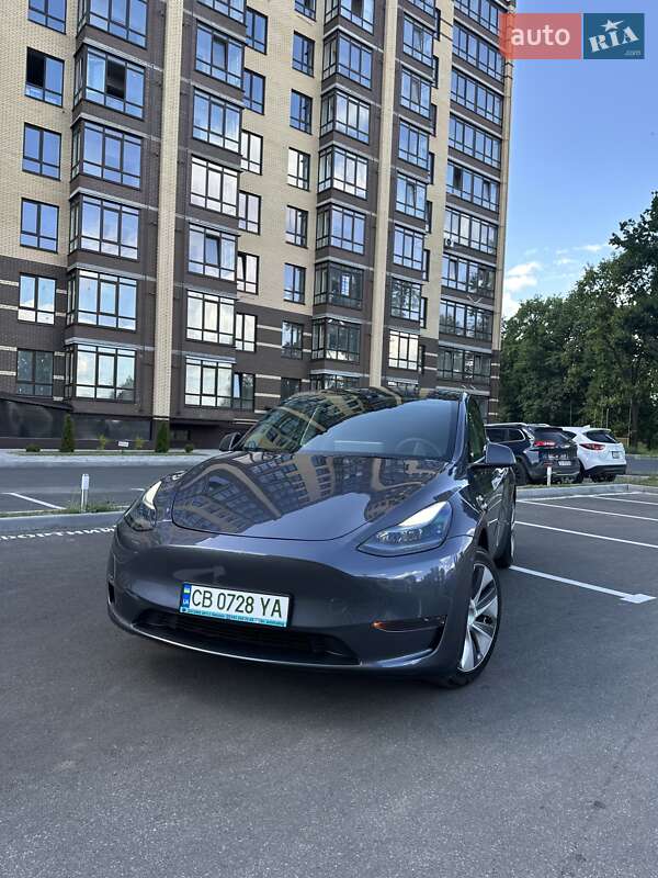 Позашляховик / Кросовер Tesla Model Y 2023 в Чернігові