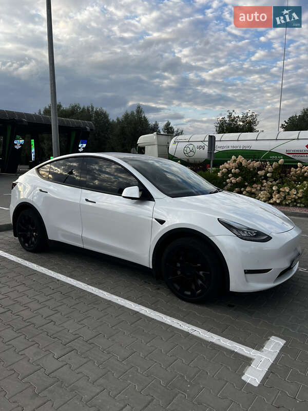 Позашляховик / Кросовер Tesla Model Y 2022 в 