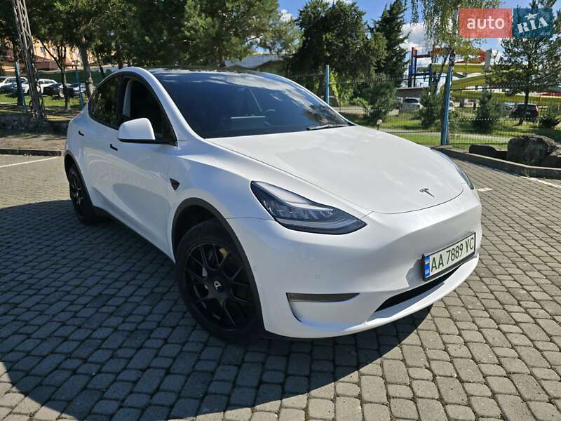 Внедорожник / Кроссовер Tesla Model Y 2021 в Ужгороде