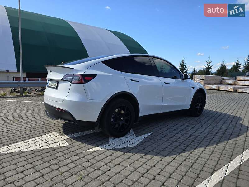 Внедорожник / Кроссовер Tesla Model Y 2021 в Ужгороде