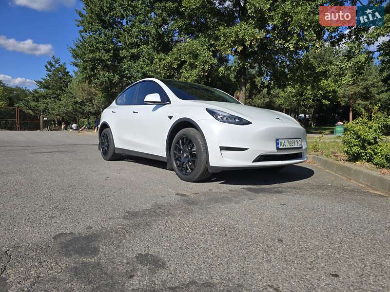 Внедорожник / Кроссовер Tesla Model Y 2021 в Ужгороде