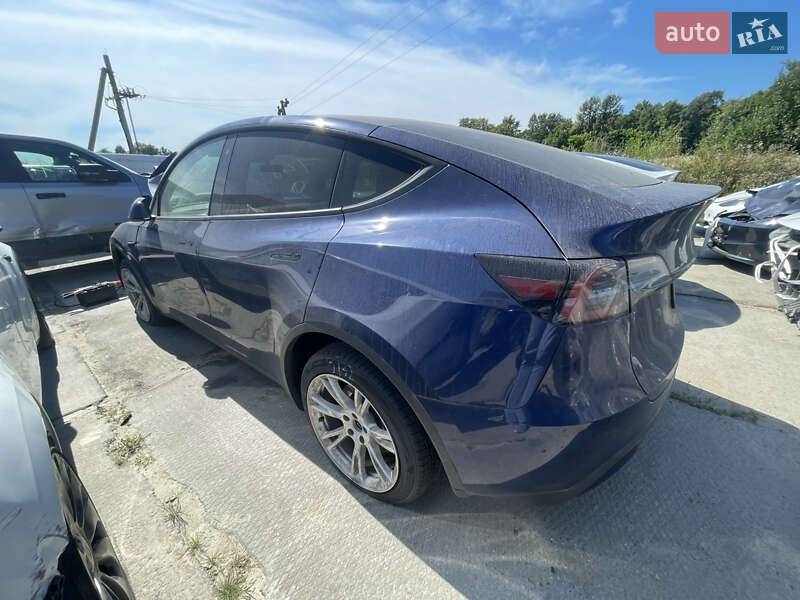 Позашляховик / Кросовер Tesla Model Y 2023 в Львові