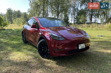 Позашляховик / Кросовер Tesla Model Y 2024 в 