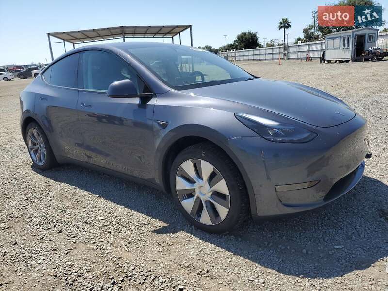 Позашляховик / Кросовер Tesla Model Y 2023 в Києві