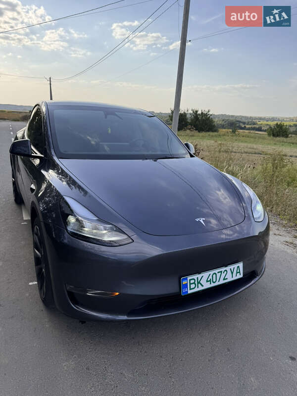 Позашляховик / Кросовер Tesla Model Y 2023 в Рівному