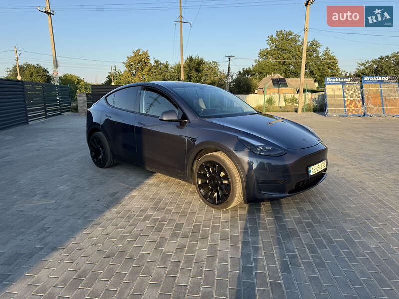 Внедорожник / Кроссовер Tesla Model Y 2023 в Днепре