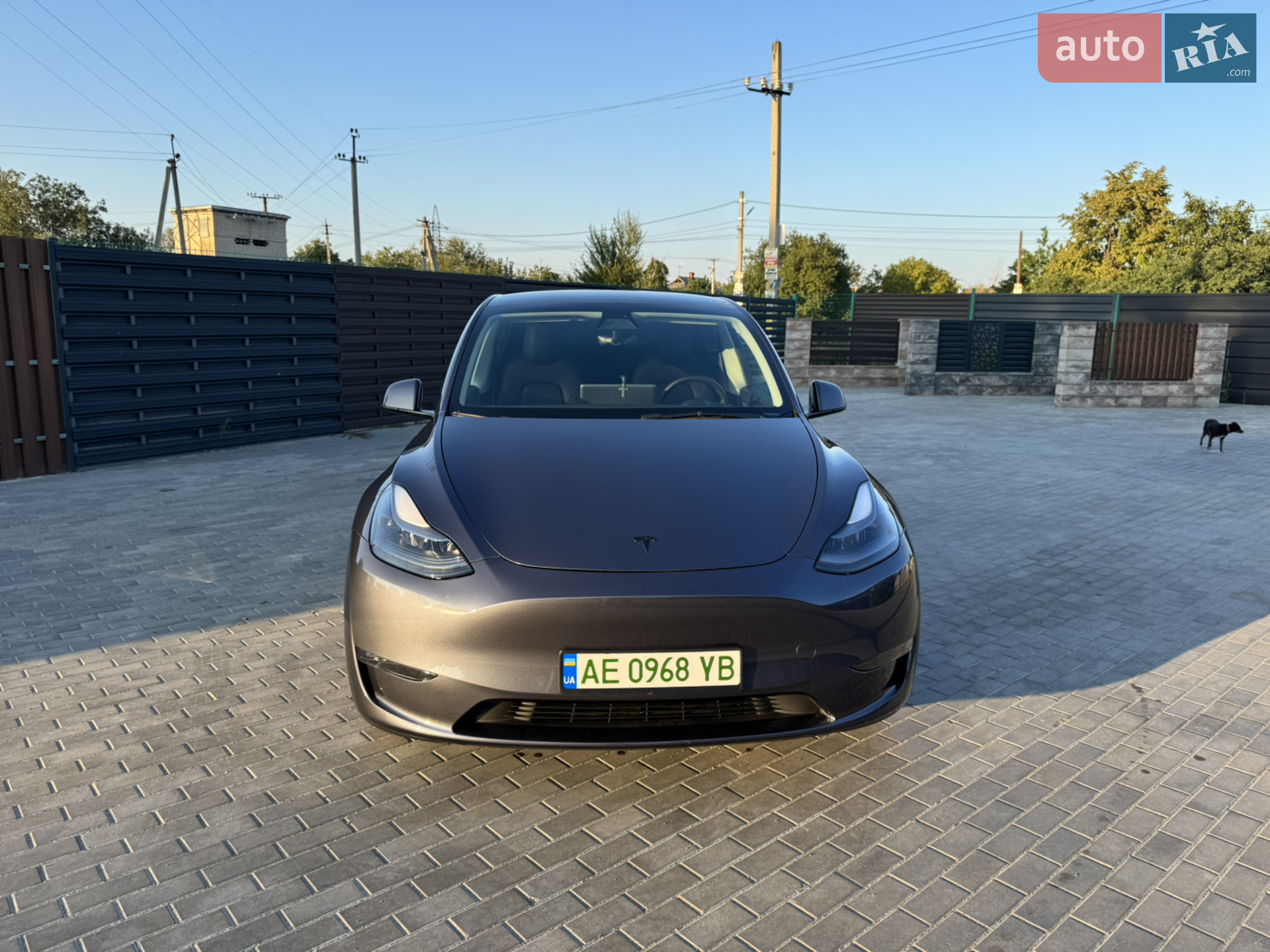 2023 Tesla Model Y - мініатюра 8
