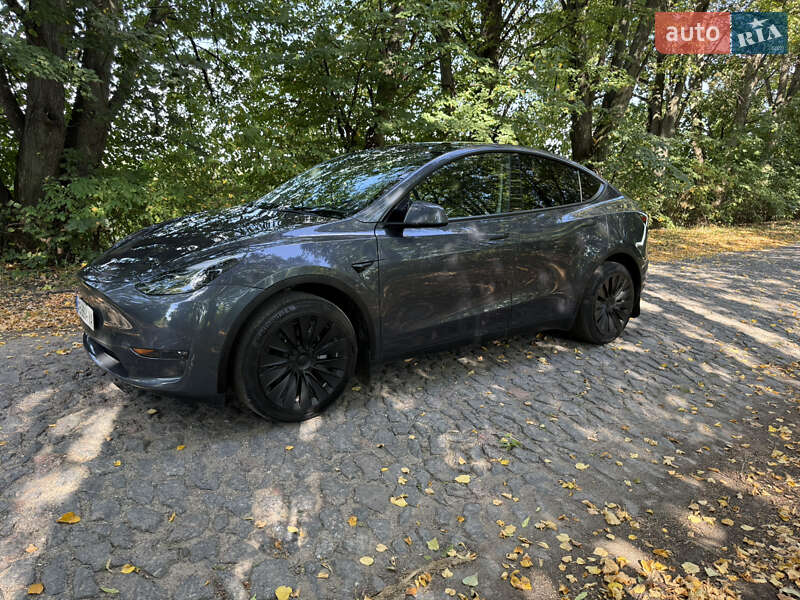 Внедорожник / Кроссовер Tesla Model Y 2023 в Хмельнике