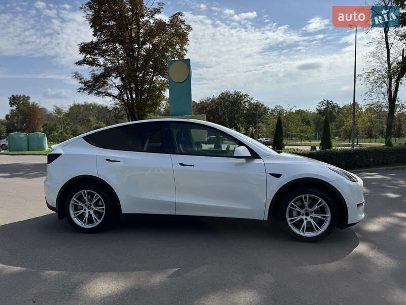 Позашляховик / Кросовер Tesla Model Y 2021 в Краматорську