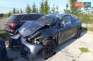 Внедорожник / Кроссовер Tesla Model Y 2023 в Львове