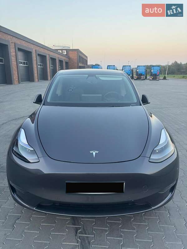 Позашляховик / Кросовер Tesla Model Y 2021 в Чернівцях