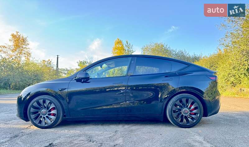 Позашляховик / Кросовер Tesla Model Y 2024 в Києві