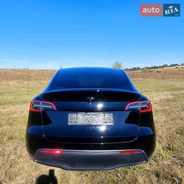 Позашляховик / Кросовер Tesla Model Y 2024 в Харкові