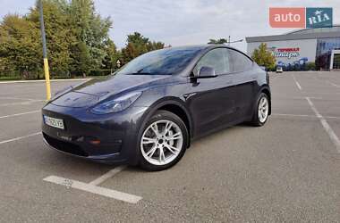 Позашляховик / Кросовер Tesla Model Y 2024 в 