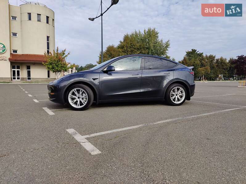 Внедорожник / Кроссовер Tesla Model Y 2024 в Броварах