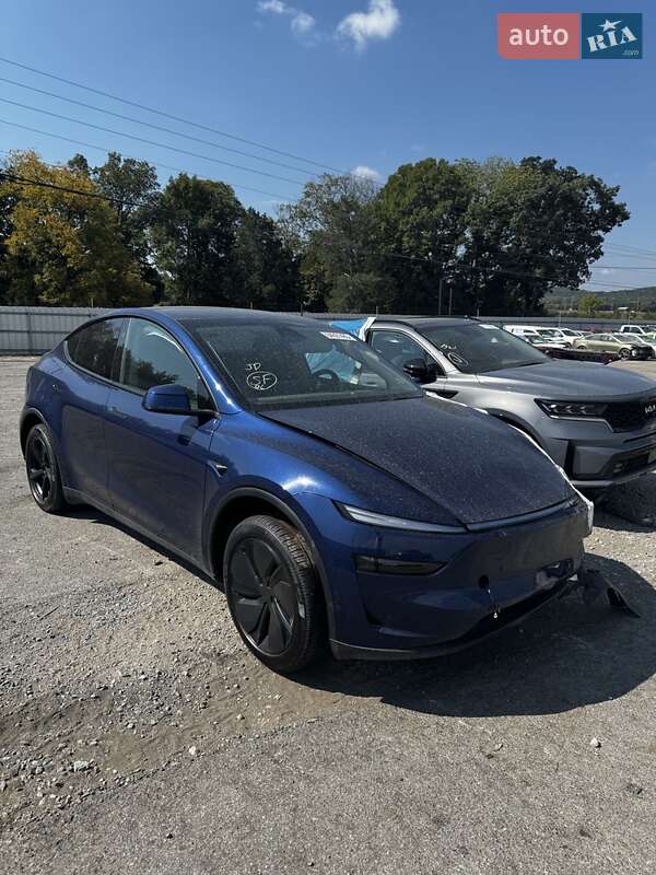 Внедорожник / Кроссовер Tesla Model Y 2025 в Киеве