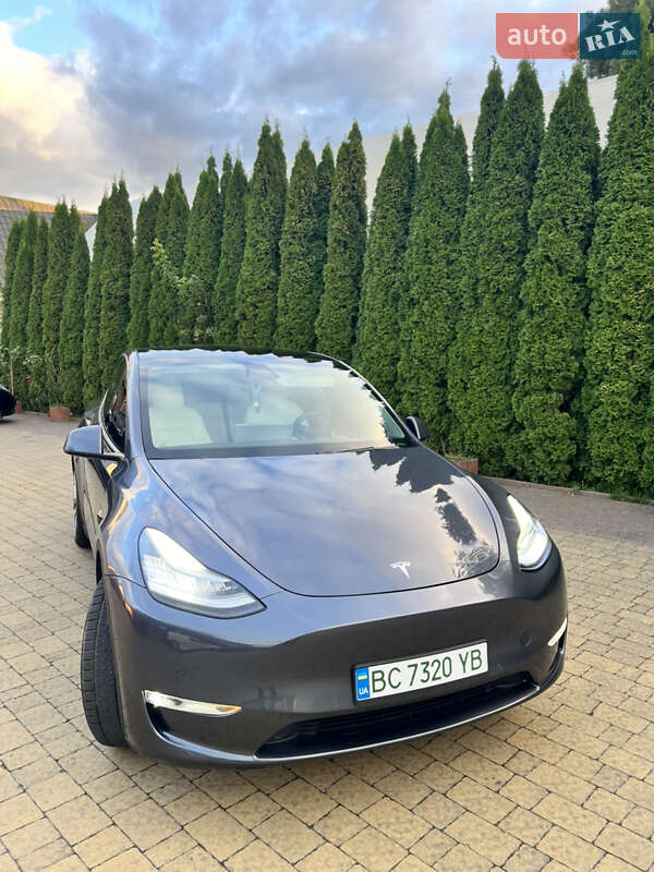 Внедорожник / Кроссовер Tesla Model Y 2020 в Львове