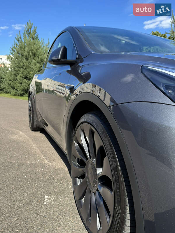Позашляховик / Кросовер Tesla Model Y 2023 в Ковелі