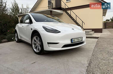 Позашляховик / Кросовер Tesla Model Y 2023 в 