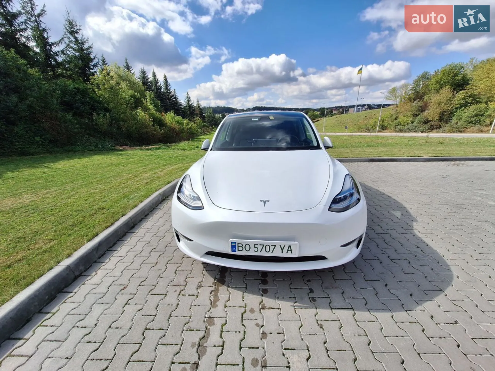 2021 Tesla Model Y - фото 1