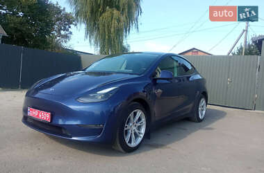 Позашляховик / Кросовер Tesla Model Y 2021 в Радехові