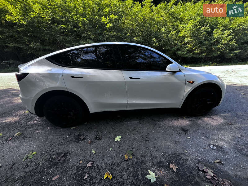 Внедорожник / Кроссовер Tesla Model Y 2021 в Ужгороде