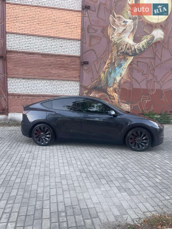Внедорожник / Кроссовер Tesla Model Y 2024 в Днепре